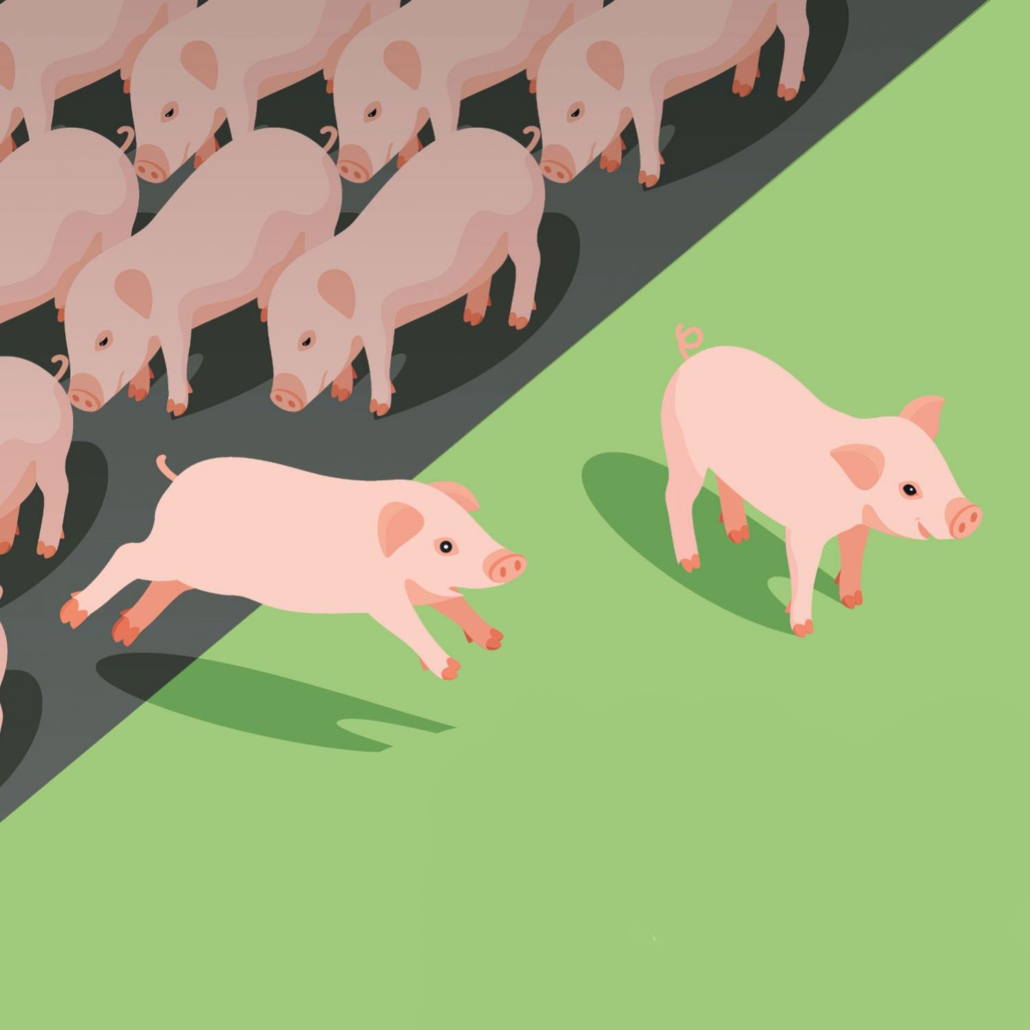 Pour une Suisse sans élevage intensif