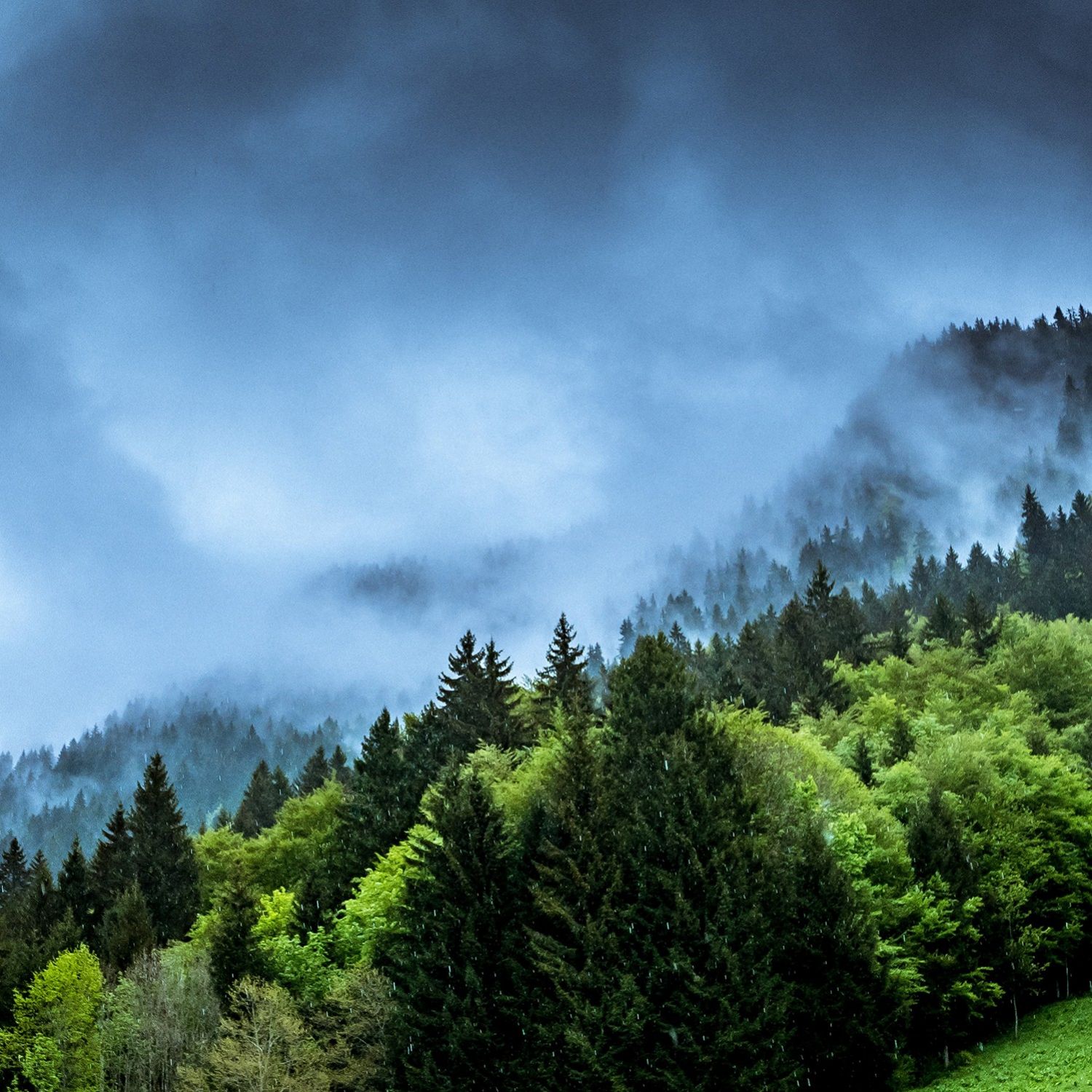 Une conférence climatique  pour les membres des exécutifs  et législatifs communaux
