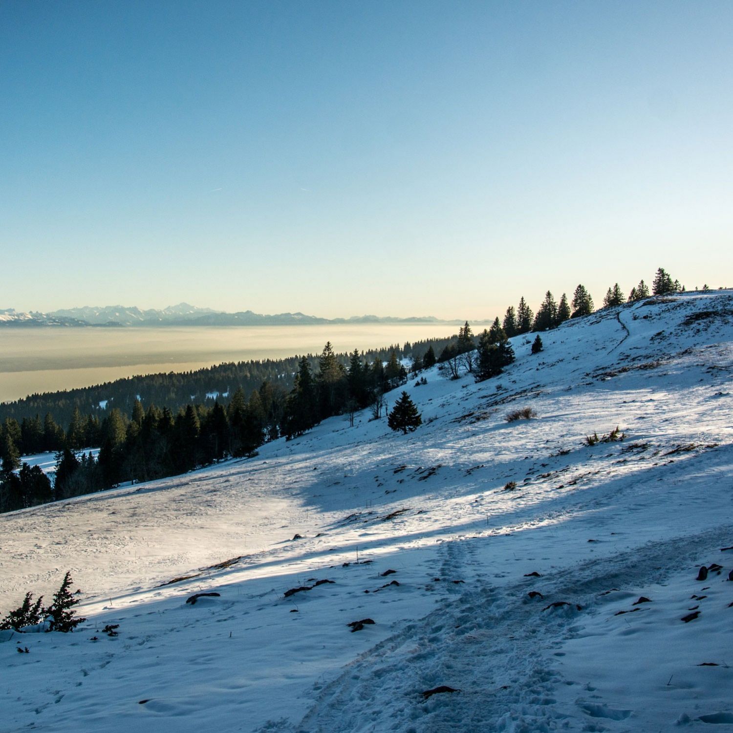 Parc éolien du Crêt-Meuron : un autre point de vue
