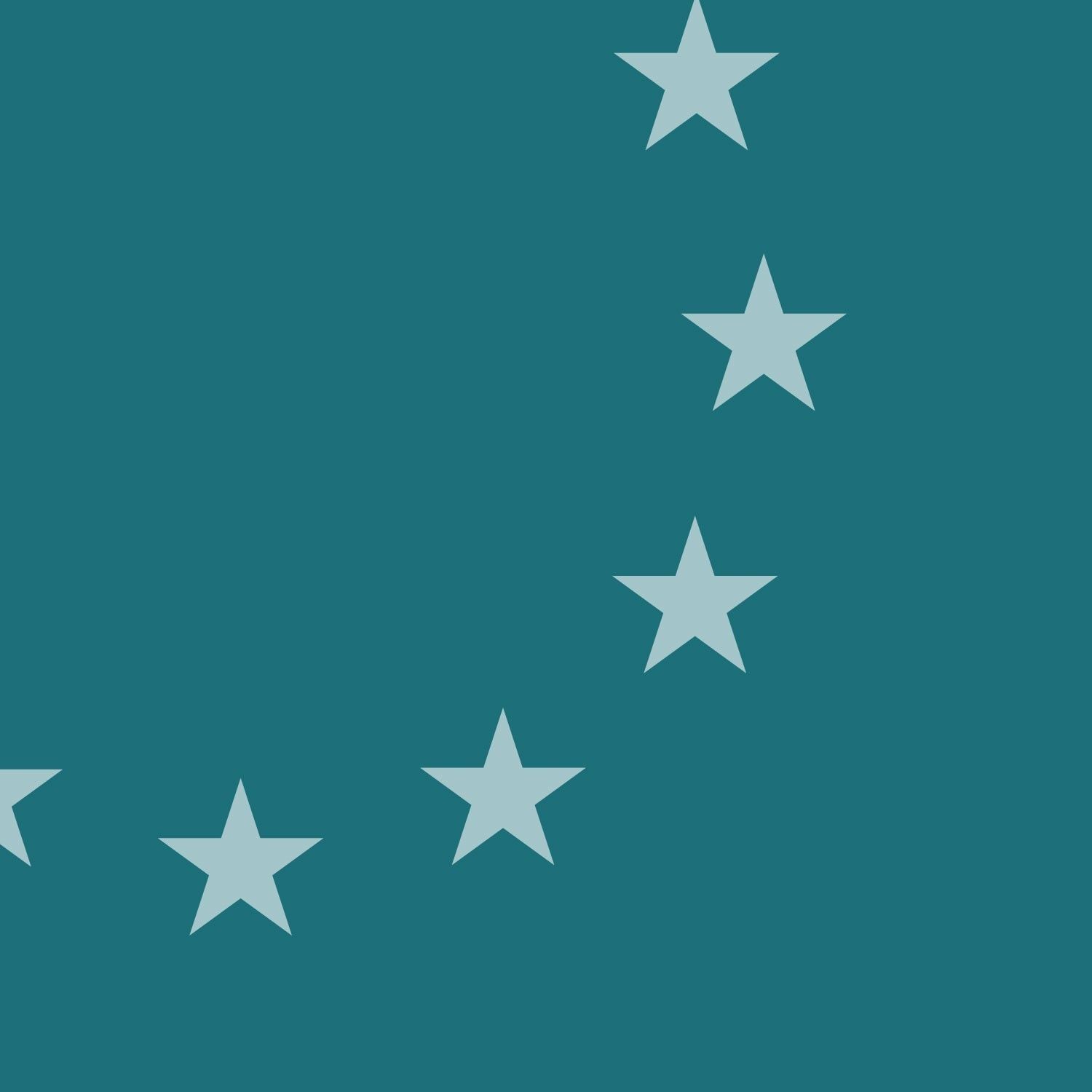 Un pilier européen pour la protection des salaires ?