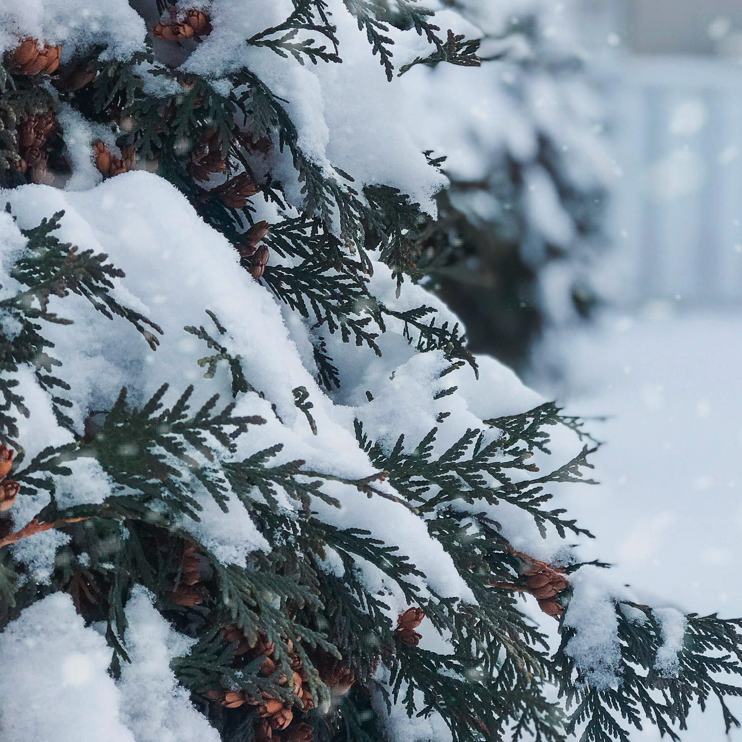 Renforçons la solidarité !