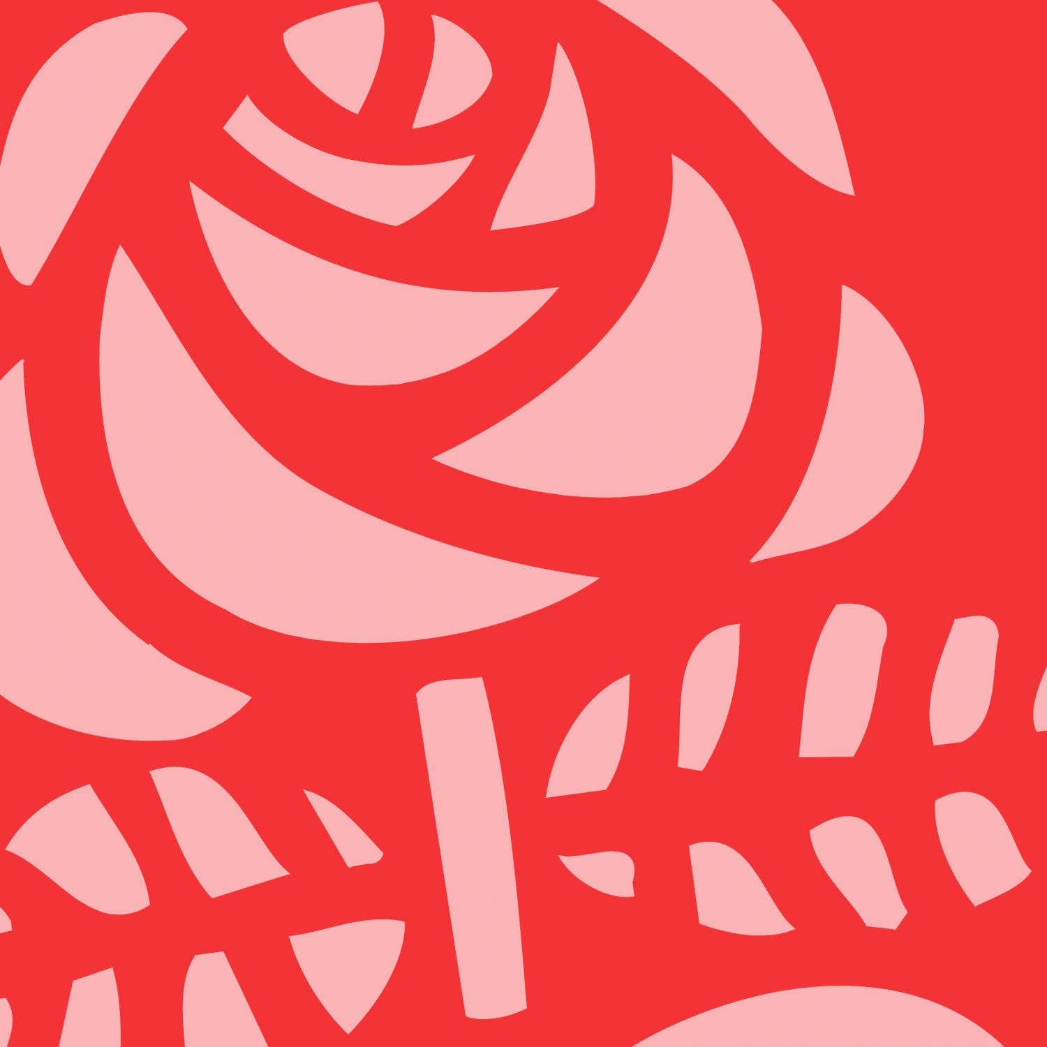 Un dynamisme fédérateur  à reconstruire ensemble