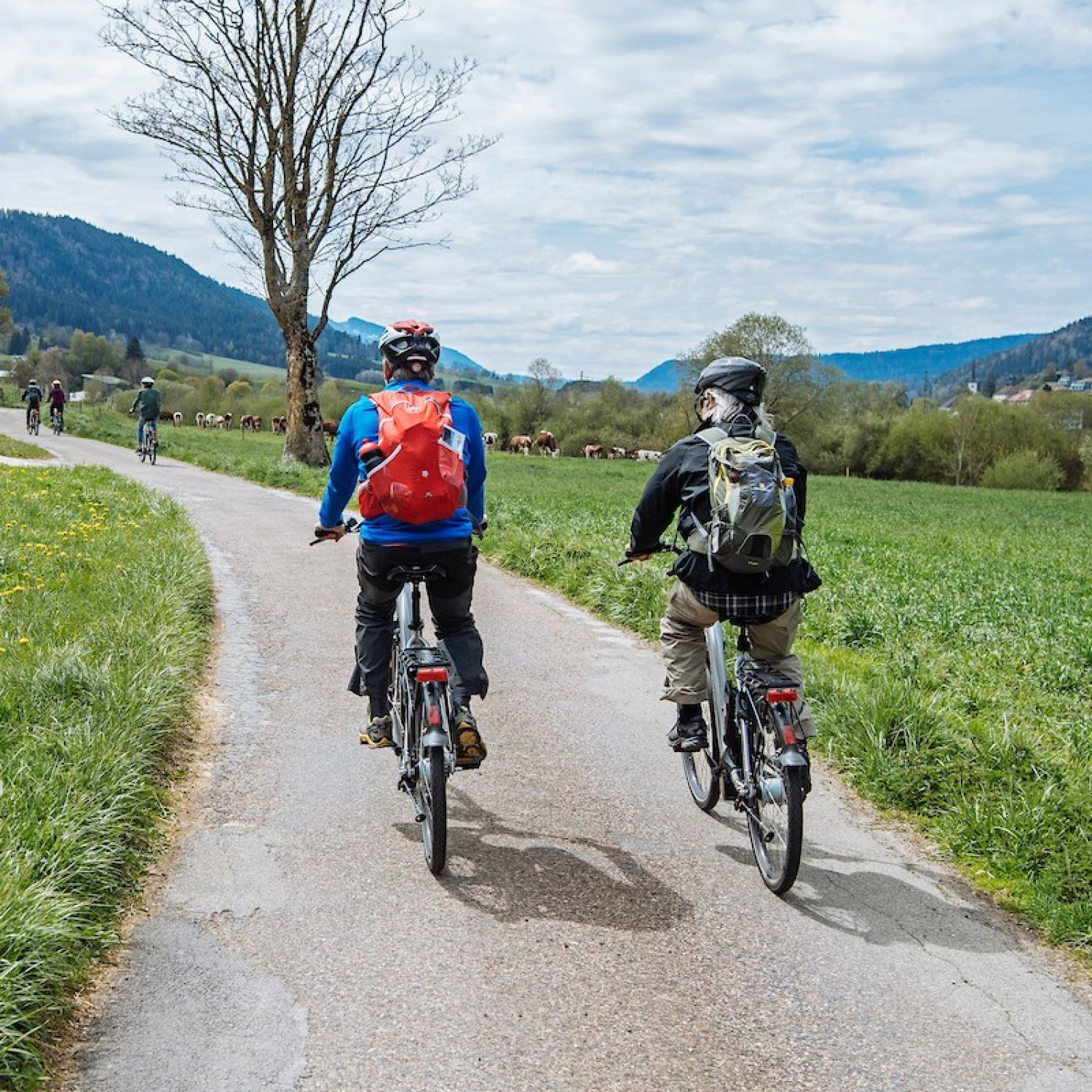 Inscrire la promotion des voies cyclables dans la Constitution : OUI