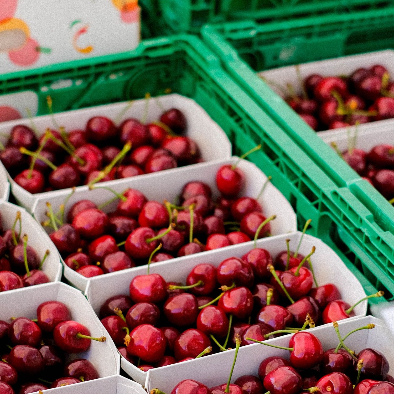 Des produits de qualité ou des produits accessibles ?